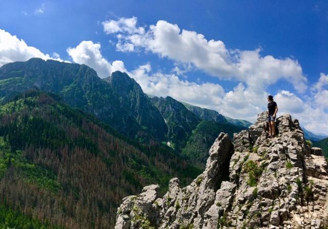Apartament Bazatatry Swistak Zakopane Buitenkant foto